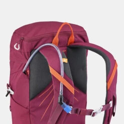 Quechua Mountain Hiking Backpack 20L -Quechua kbf9d6e776919d8793e4a954172e8616f