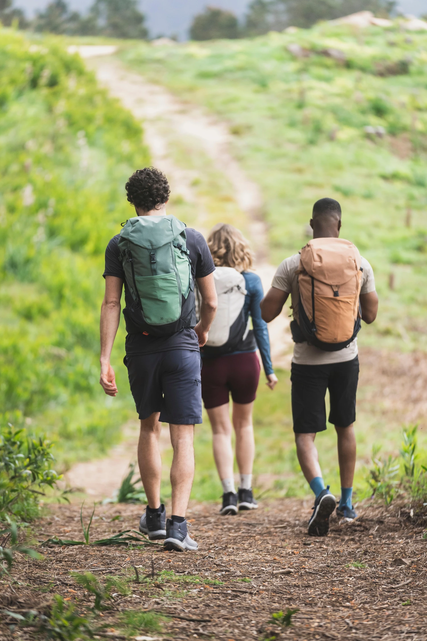 Quechua BACKPACK MH100 35L 6 Quechua BACKPACK MH100 35L - Image 4